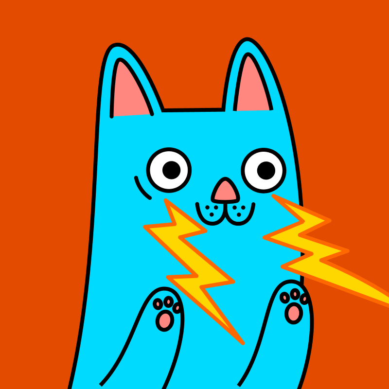 flashmeow